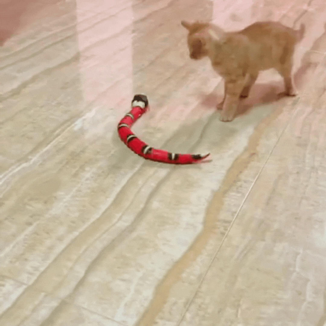 Smart Sensing Play Snake