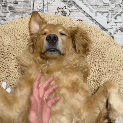 HushPup™ Muddy Bed